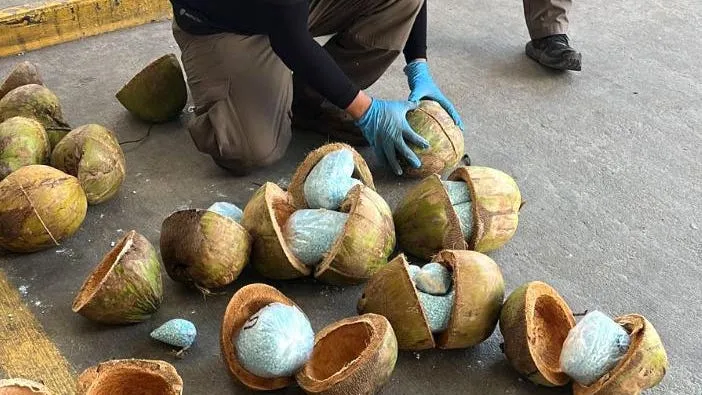 Confiscan 300 kilos de fentanilo ocultos en cocos, según autoridades de Sonora, México.