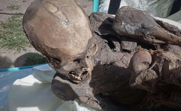 Hallan una momia prehispánica en mochila de repartidor de ‘delivery’ en Perú.