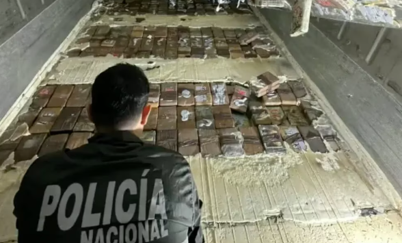 Incautaron en Ecuador más de dos toneladas de cocaína escondidas entre bananas.