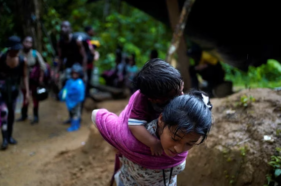 Una cantidad récord de 40.000 niños cruzó la selva del Darién en la primera mitad del año.