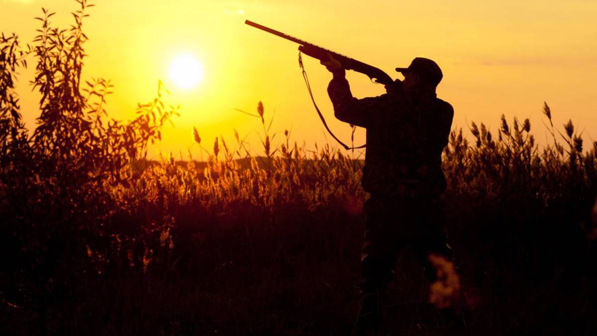 Persona baleada mientras cazaba aves acuáticas en el condado de Dickinson, dice DNR.