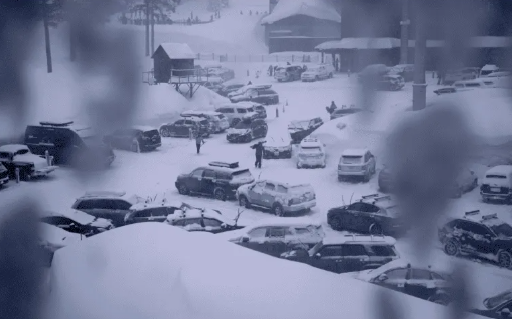 Tras avalancha en estación de esquí en California, despliegan operativo de búsqueda.