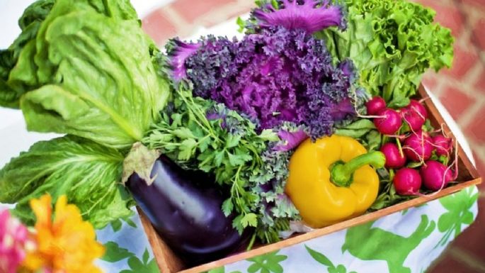 ¿Cómo incluir más verduras en mi comida? 4 consejos que te ayudarán a llevar una alimentación sana.