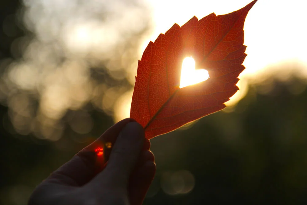 7 preguntas para saber si estás con el amor de tu vida.