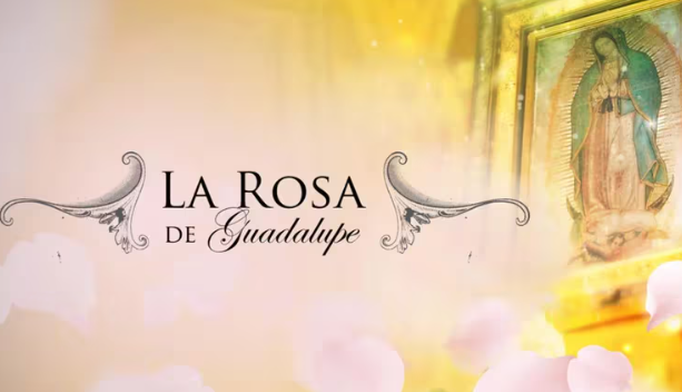 Muere Thelma Dorantes, actriz de La Rosa de Guadalupe.