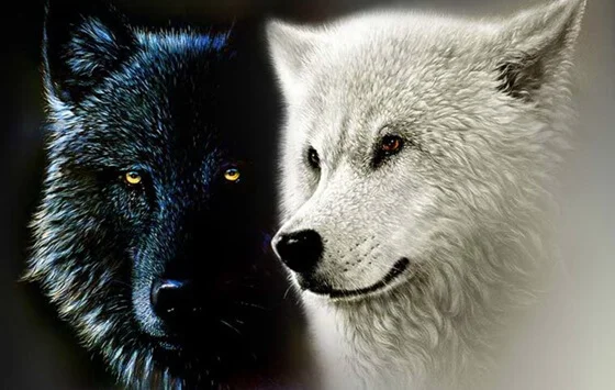 Los dos lobos.