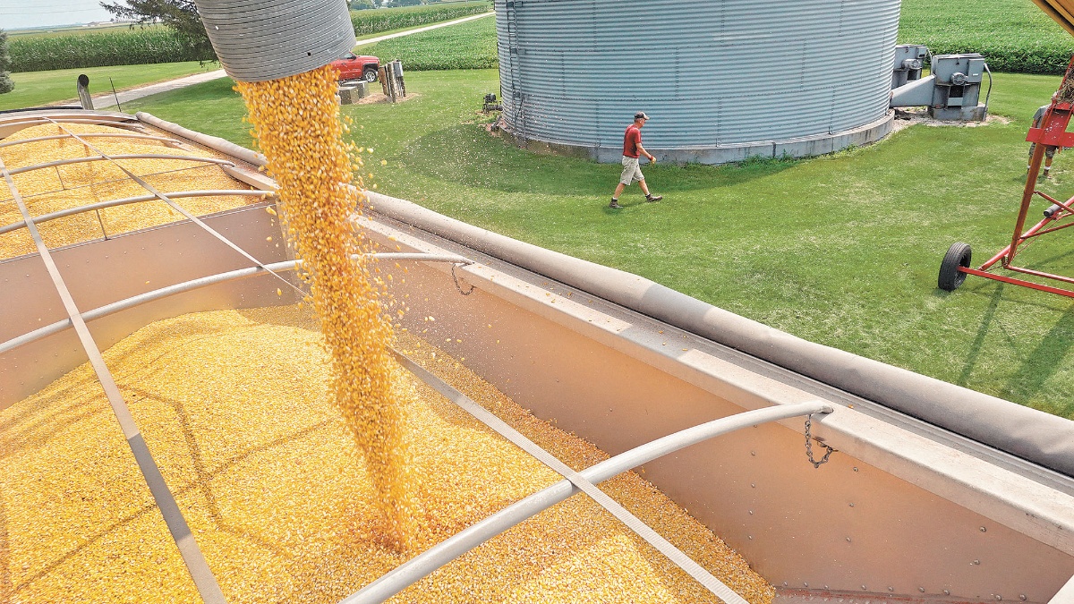 EU prevé existencias de cereales menores a las esperadas.