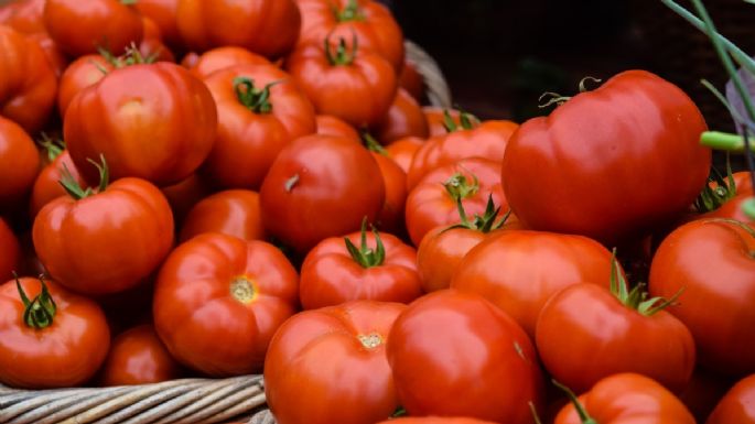 Estos son los beneficios que puede darte consumir jitomate.