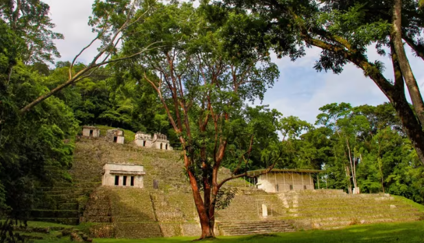 Familias abandonan la Selva Lacandona ante entrada del crimen organizado; “están aterrizando aviones con droga” asegura AMLO.