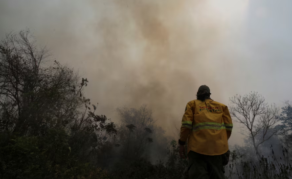 Cuatro meses de incendios forestales en Bolivia: 7 claves para entender la crisis ambiental en el país.