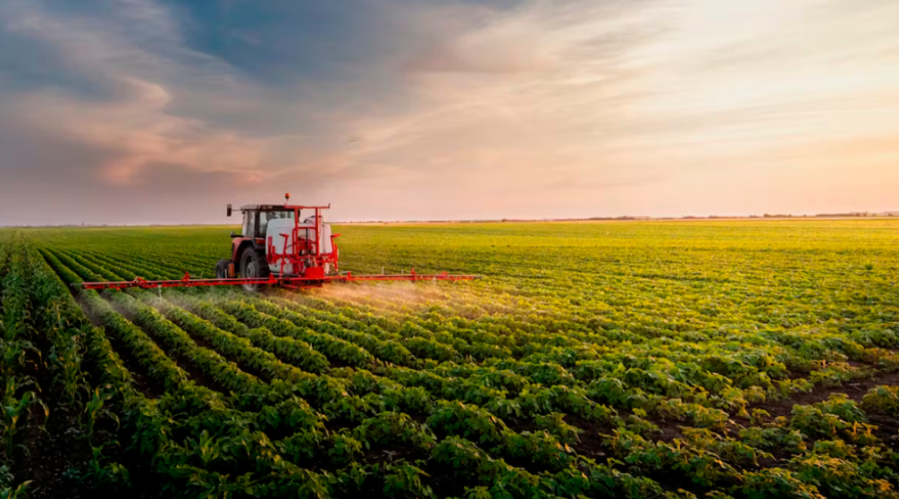 El desafío de satisfacer la demanda mundial de alimentos de manera sostenible