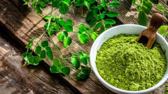 Moringa: ¿Qué es y cuáles son los beneficios de consumirla?