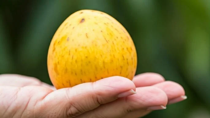 Esta es la fruto de oro llena de colágeno que te dará una piel más joven y humectada