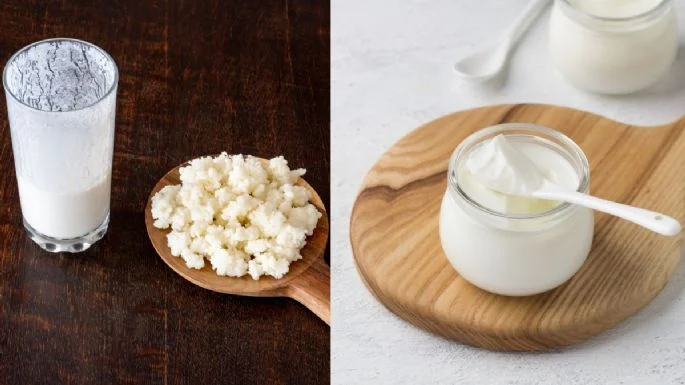 ¿Qué diferencia hay entre kéfir y yogur? Beneficios de cada producto