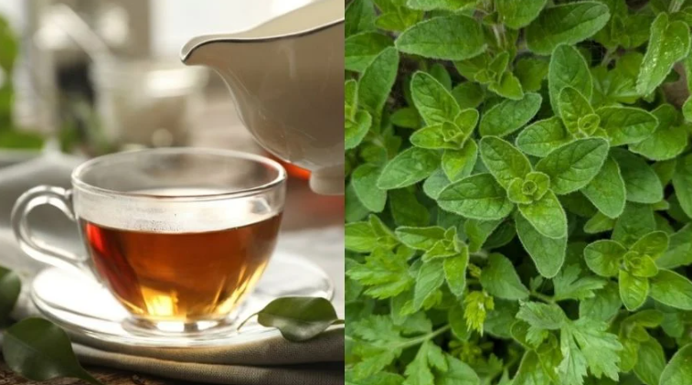 Este té ayuda aliviar la ansiedad, el nerviosismo, y el insomnio