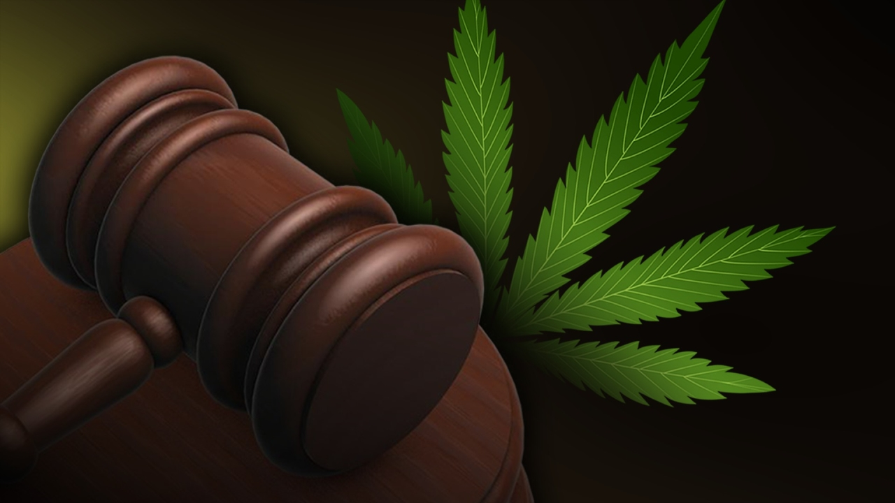 Hombre sentenciado por participación en operación de marihuana en el condado de Sac