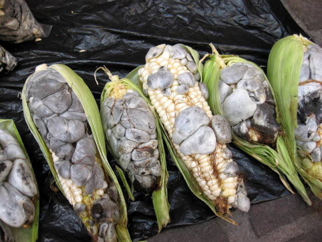 ¿Qué es el huitlacoche? Conoce este alimento mexicano y los beneficios que tiene en la salud