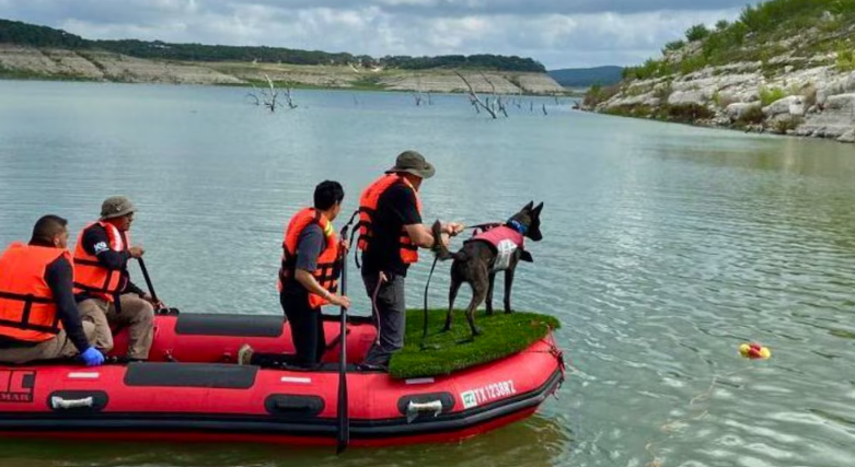 Perros mexicanos ayudan a localizar víctimas por inundaciones en Texas