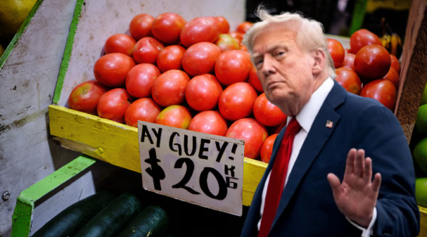 Aranceles de Trump al tomate ‘pegan’ a la producción en México: ¿Qué estados exportan más a EU?