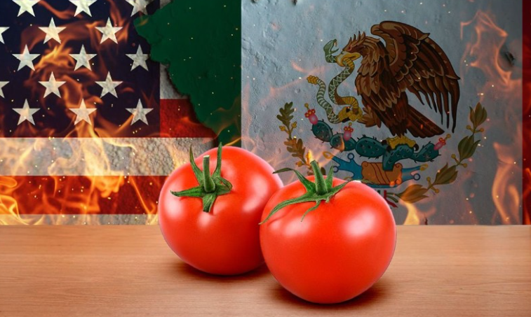 Precio del dólar en México hoy 15 de julio de 2025: “Super peso” resiste los aranceles de Trump al jitomate