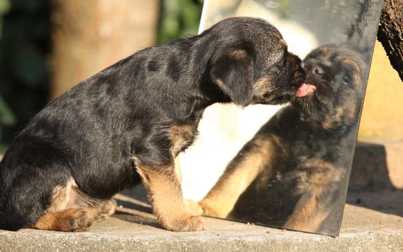 El reflejo de tus actos