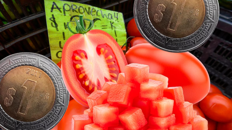 ¿Por qué el jitomate está tan barato? Aseguran que bajó su precio porque ‘ya no entra a Estados Unidos’