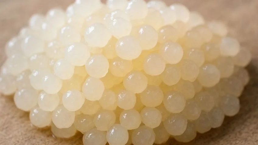 Cómo preparar búlgaros de agua y aprovechar sus beneficios para la salud