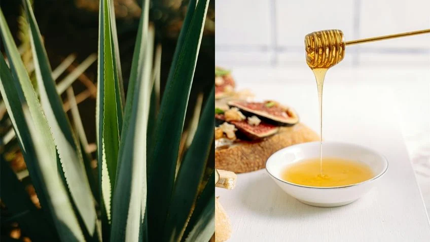 ¿Qué es más saludable si tengo diabetes, la miel de agave o la miel de abeja?