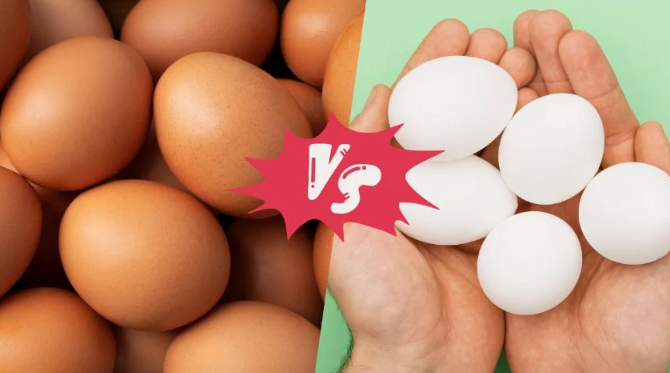 ¿Por qué hay huevos de gallina de diferentes colores? Esta es la razón
