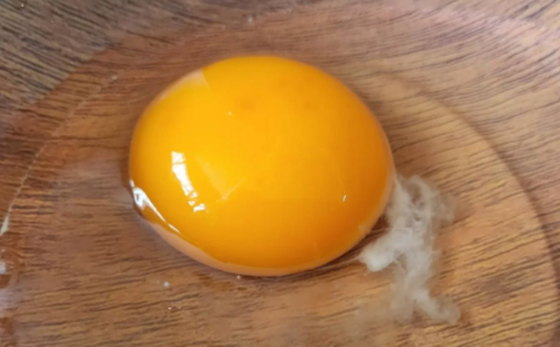 ¿Qué son los “hilitos” blancos en la yema del huevo? Nutricionista lo explica