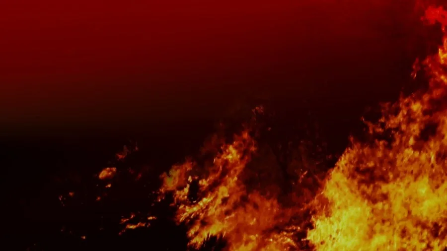 El incendio de Storm Lake se cobra la vida de 10 perros