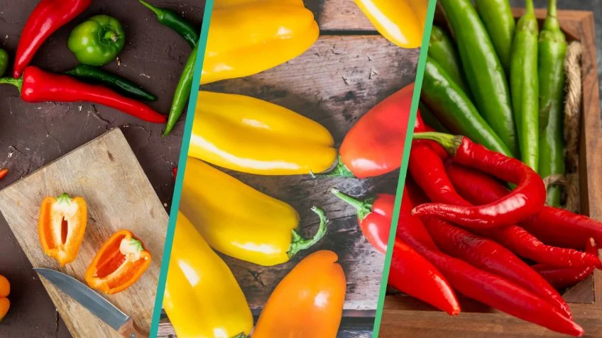 ¿Cuáles son los beneficios de comer chile?