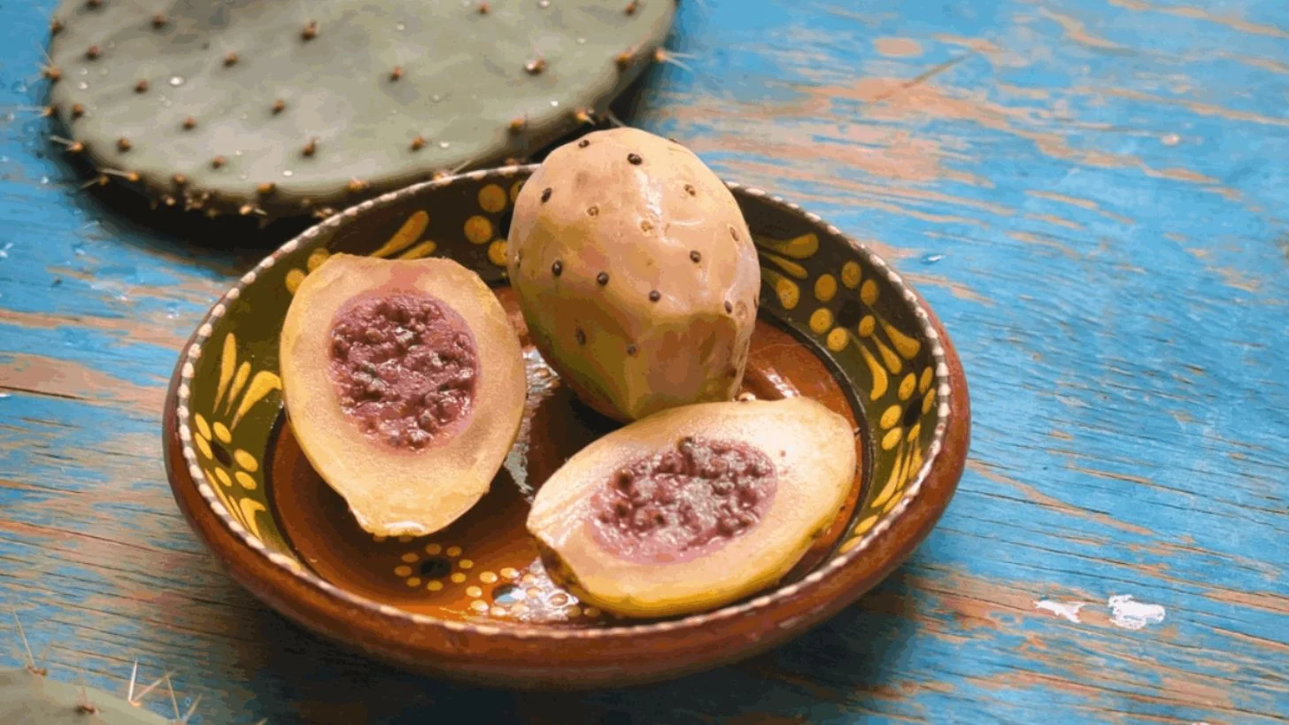 ¿Qué es el xoconostle y qué beneficios tiene?