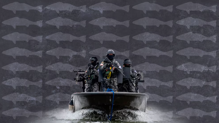 El auge de los “narcobucheros” en el Golfo de California: crimen, desigualdad y crisis ambiental entrelazadas