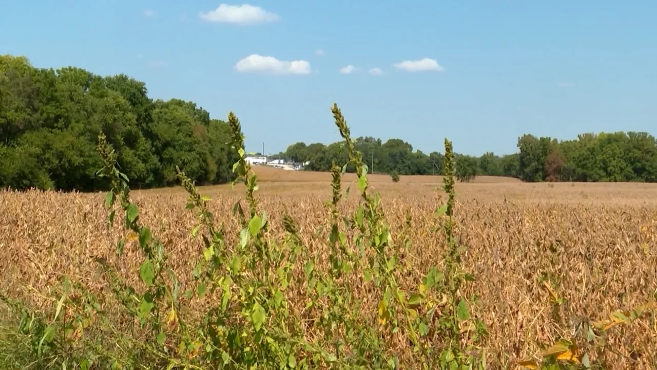 Los agricultores se enfrentan a una fecha límite crítica para recibir la próxima asistencia