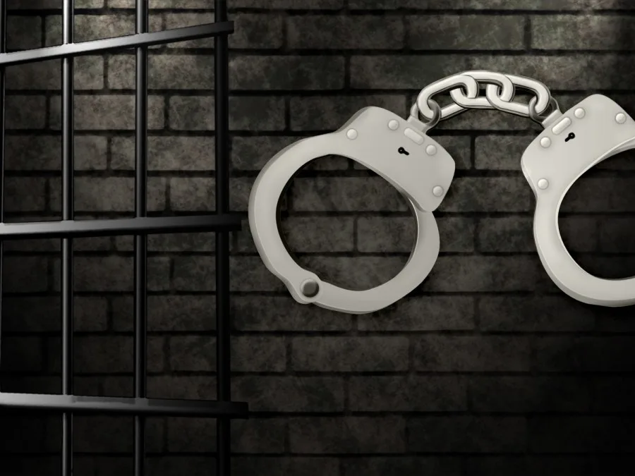 Presuntos vándalos del juzgado del condado de Lyon llegan bajo custodia