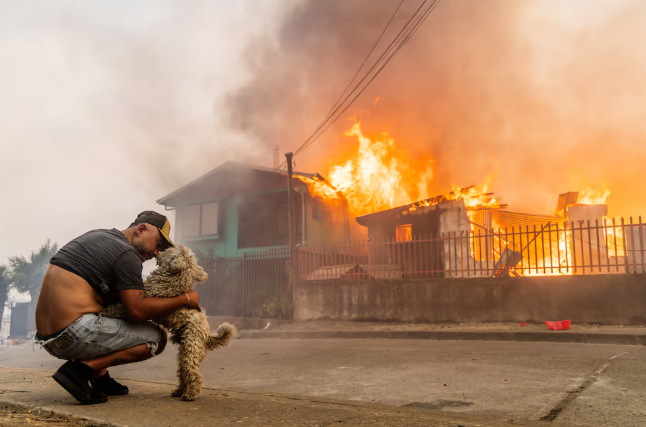 Último balance por megaincendios en el sur de Chile: 19 muertos y más de 24 mil hectáreas consumidas