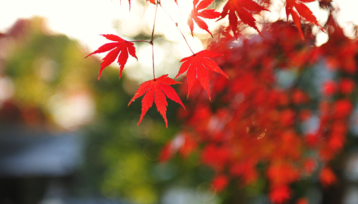 La relación perfecta no existe