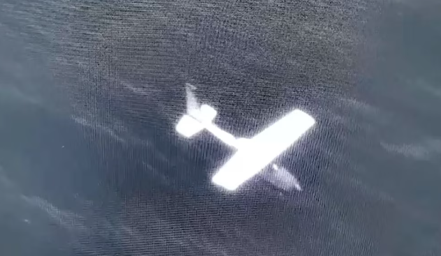 Autoridades interceptan avioneta con más de media tonelada de cocaína en Oaxaca, informa Harfuch