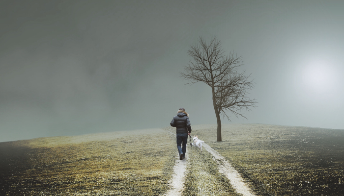 Cómo se abrió el sendero