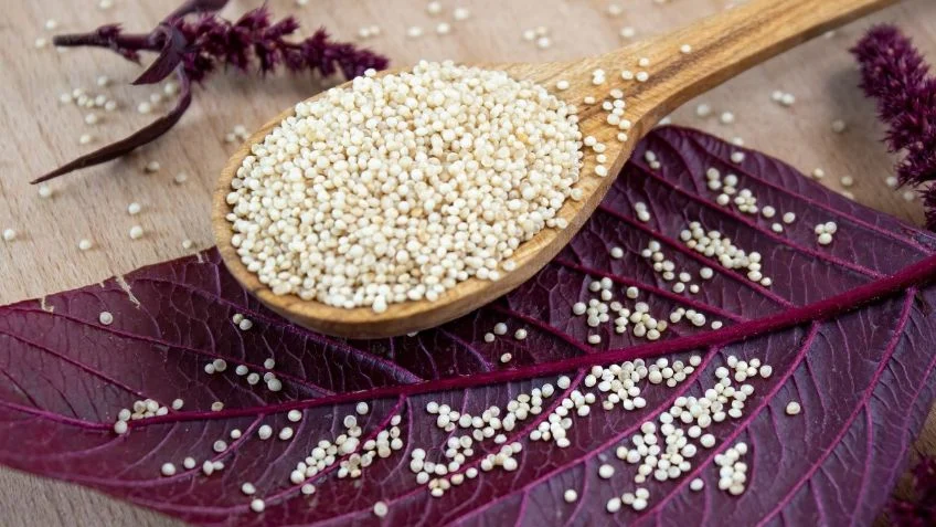 Amaranto: El “oro mexicano” que la NASA utiliza y tú deberías incluir en tu dieta diaria