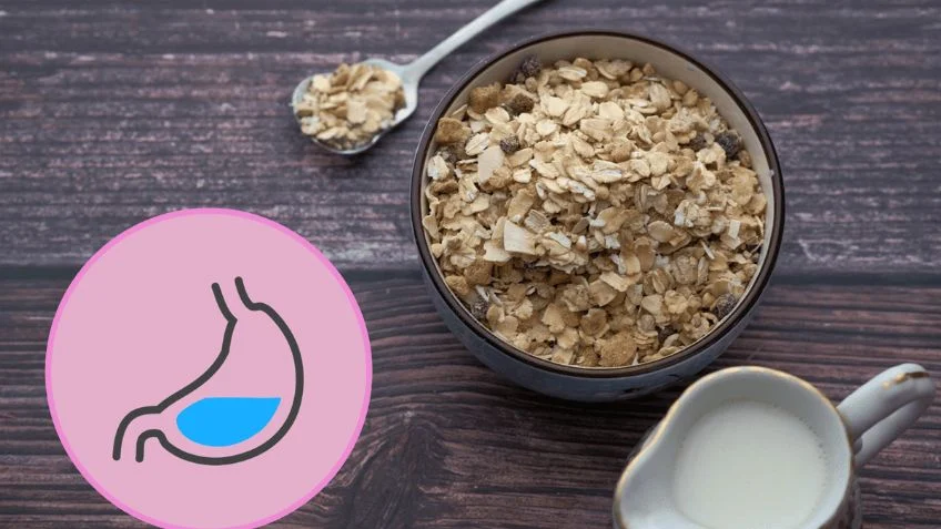 3 diferentes tipos de cereales que te ayudan con la salud intestinal