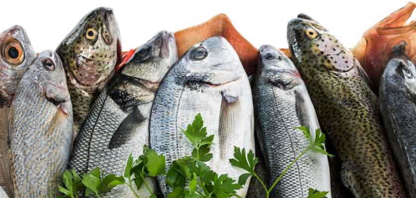 ¿Qué tan seguro es comer pescado crudo? Estos son los riesgos que deberías conocer