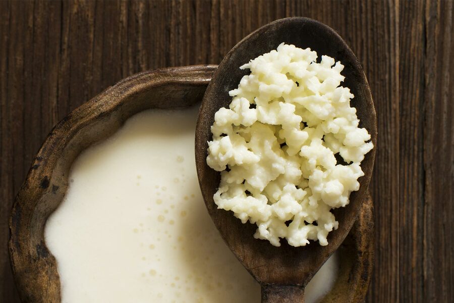 ¿Por qué los búlgaros de leche son conocidos como el “oro blanco”? Sus beneficios para la gastritis