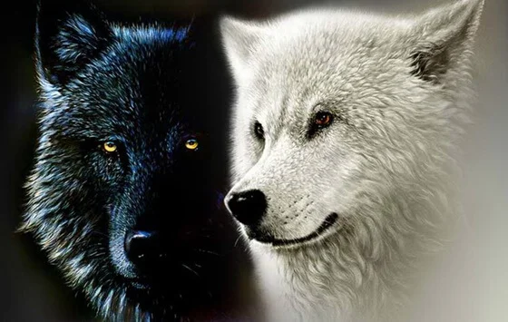 Los dos lobos