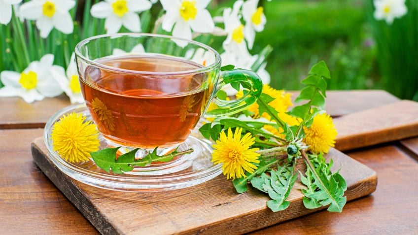 Té de diente de león: Beneficios, propiedades y cómo preparar esta bebidas saludable