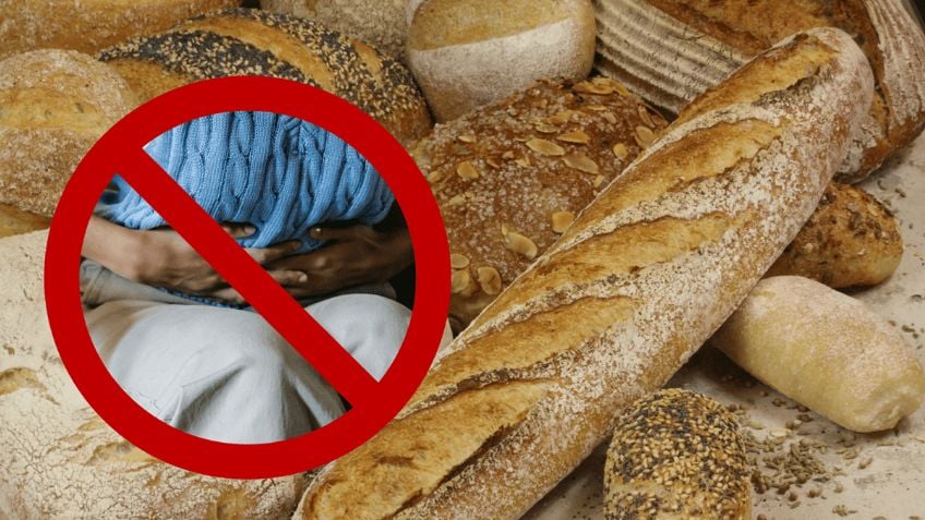 Científicos desarrollan molécula clave para combatir la enfermedad del gluten y sus síntomas