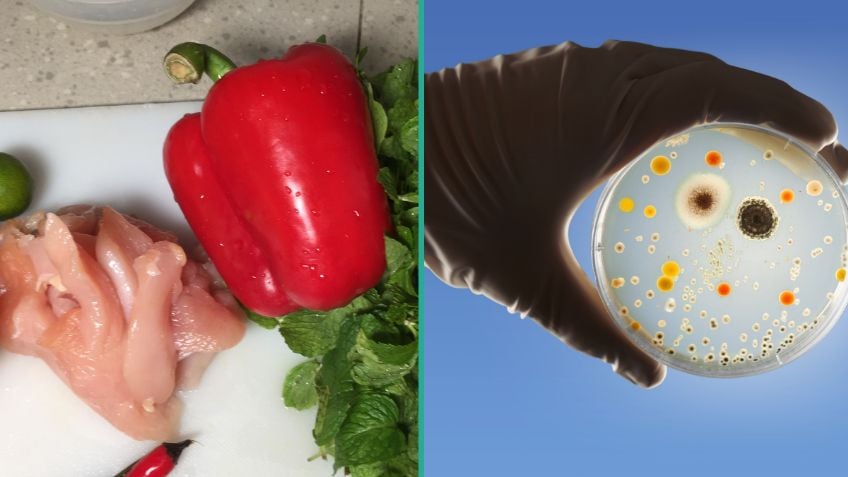 5 alimentos comunes que podrían transmitir salmonela y poner en riesgo tu salud