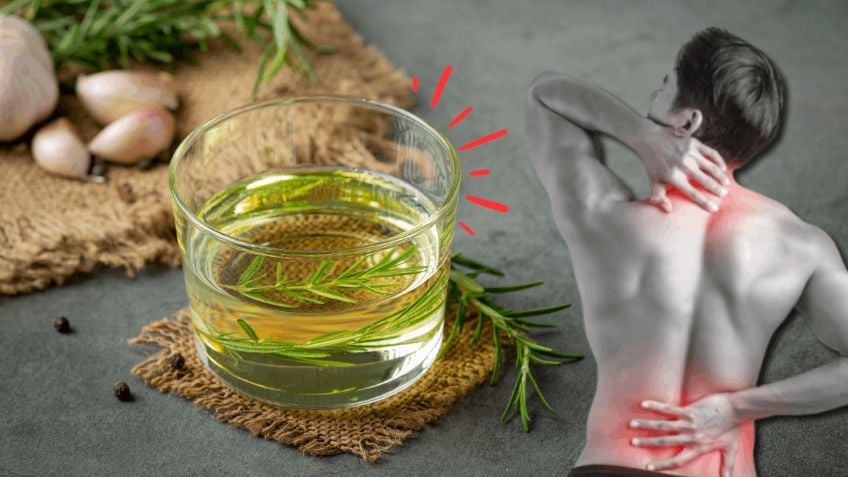 Doctor explica cómo usar romero con alcohol para aliviar dolores musculares Doctor explica cómo usar romero con alcohol para aliviar dolores musculares