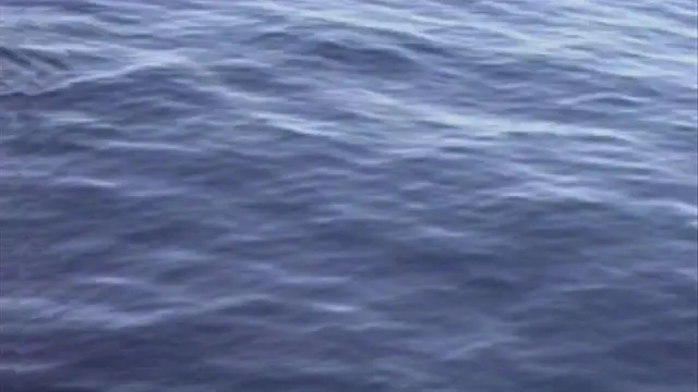 Mujer de 76 años muere tras ahogarse en East Lake Okoboji Mujer de 76 años muere tras ahogarse en East Lake Okoboji